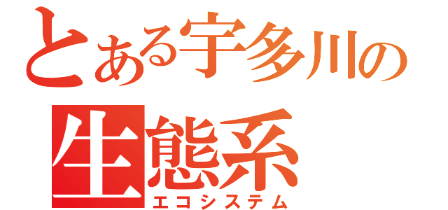 とある宇多川の生態系（エコシステム）