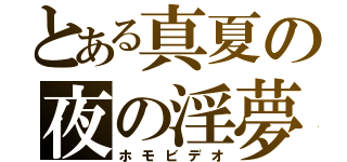 とある真夏の夜の淫夢（ホモビデオ）