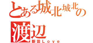 とある城北城北教師の渡辺（新田Ｌｏｖｅ）