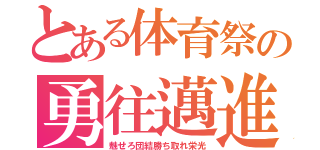 とある体育祭の勇往邁進（魅せろ団結勝ち取れ栄光）