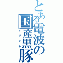 とある電波の国産黒豚（イリミヤ）