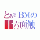 とあるＢＭの十六面触（ユビート）