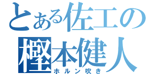 とある佐工の樫本健人（ホルン吹き）