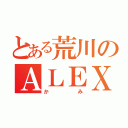 とある荒川のＡＬＥＸ（かみ）