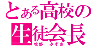 とある高校の生徒会長（牧野 みずき）