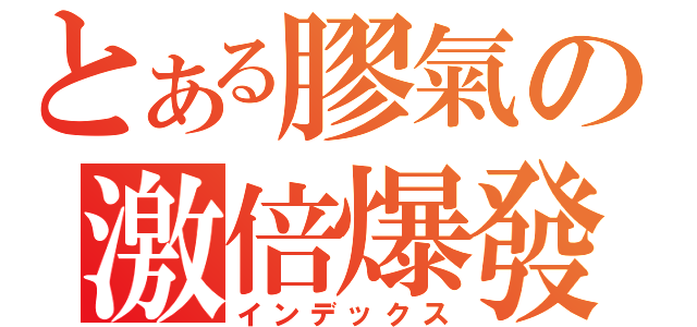 とある膠氣の激倍爆發（インデックス）