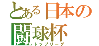 とある日本の闘球杯（トップリーグ）