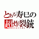 とある寿巳の超炸裂銃（ショットガン）