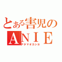 とある害児のＡＮＩＥＬ（アタマオカシヨ）