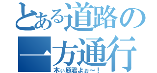 とある道路の一方通行（木ぃ原君よぉ～！）