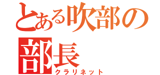 とある吹部の部長（クラリネット）