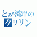 とある湾岸のクリリン（）