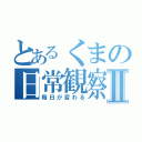 とあるくまの日常観察Ⅱ（毎日が変わる）