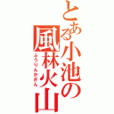 とある小池の風林火山（ふうりんかざん）