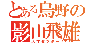 とある烏野の影山飛雄（天才セッター）