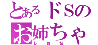 とあるドＳのお姉ちゃん（しお姉）