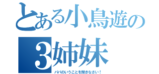 とある小鳥遊の３姉妹（パパのいうことを聞きなさい！）