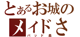 とあるお城のメイドさん（パッド長）