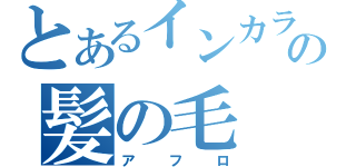 とあるインカラの髪の毛（アフロ）