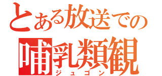 とある放送での哺乳類観察（ジュゴン）