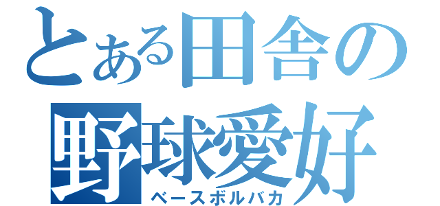 とある田舎の野球愛好（ベースボルバカ）