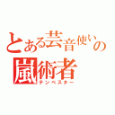 とある芸音使いの嵐術者（テンペスター）