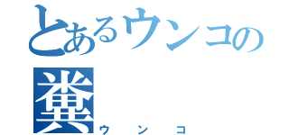 とあるウンコの糞（ウンコ）