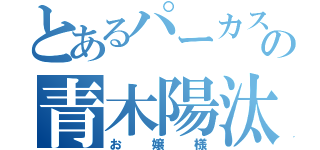 とあるパーカスの青木陽汰（お嬢様）