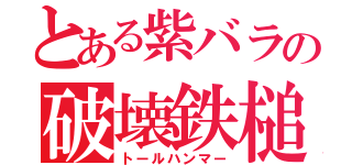 とある紫バラの破壊鉄槌（トールハンマー）