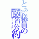 とある議員の政治公約（マニュフェスト）