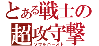 とある戦士の超攻守撃（ソウルバースト）