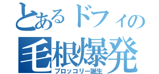 とあるドフィの毛根爆発（ブロッコリー誕生）