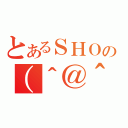 とあるＳＨＯの（＾＠＾）（）