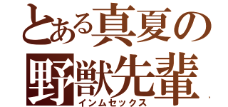 とある真夏の野獣先輩（インムセックス）