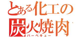 とある化工の炭火焼肉（バーベキュー）