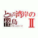 とある湾岸の怪鳥Ⅱ（ブラックバード）