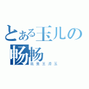 とある玉儿の畅畅（我是王添玉）