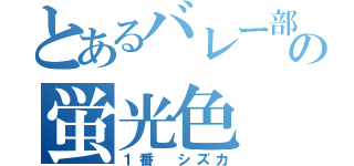 とあるバレー部の蛍光色（１番 シズカ）