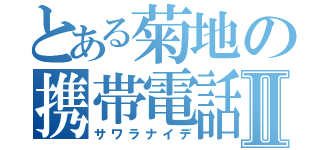 とある菊地の携帯電話Ⅱ（サワラナイデ）