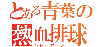 とある青葉の熱血排球部（バレーボール）