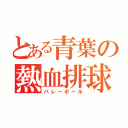 とある青葉の熱血排球部（バレーボール）