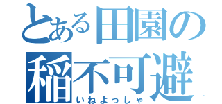 とある田園の稲不可避（いねよっしゃ）