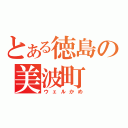 とある徳島の美波町（ウェルかめ）