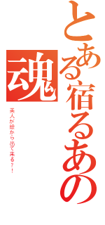 とある宿るあの魂（美人が絵から出て来る？！）