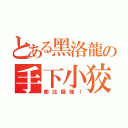 とある黑洛龍の手下小狡（都比擬強！）