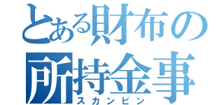 とある財布の所持金事情（スカンピン）