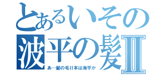 とあるいその波平の髪Ⅱ（あ…髪の毛Ⅱ本は海平か）