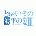 とあるいその波平の髪Ⅱ（あ…髪の毛Ⅱ本は海平か）