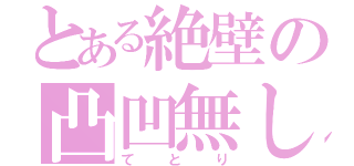 とある絶壁の凸凹無し（てとり）