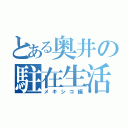 とある奥井の駐在生活（メキシコ編）